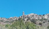 Trail Walking Collioure - Tour de Madeloc par les cols 15 km 741 m D+ - Photo 12