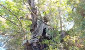 Tour Wandern Ansignan - sentier des dolmens en fenouillèdes - Photo 14