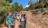 Randonnée Marche Bagnols-en-Forêt - Crête Diaou et gorges du Blavet - Photo 8