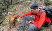 Tocht Stappen Le Broc - Le Broc-Bouyon fait - Photo 1