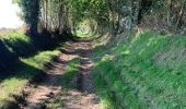 Tocht Stappen Domjean - Rando gorge de la Vire  - Photo 13