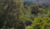 Tocht Stappen Hyères - les Borel les 2 - Photo 5