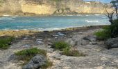 Trail Trail Anse-Bertrand - La mahaudiere - Photo 16