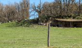 Trail Walking Sainte-Maure-de-Touraine - Sainte-Maure-de-Touraine - Sepmes via PRs - 20.5km 240m 4h35 (50mn) - 2025 03 19 - Photo 5
