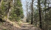 Tour Wandern Pélussin - Randonnée du tacot à Pelussin  - Photo 12