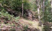 Trail Walking Theux - franchimont-maché . chinru - retour - Photo 13
