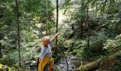 Trail Walking Le Hohwald - cascade de Hohwald - Photo 1