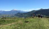 Tour Wandern Pierre-Châtel - PF-Pierre-Châtel - La Pierre Percée - Photo 9