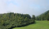 Tour Zu Fuß Bezirk Großsteffelsdorf - Náučný chodník zbojníka Jakuba Surovca - Photo 3