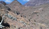 Tour Wandern Vallehermoso - Canaries - La Gomera  - Valle Gran Rey - jour 6 - Photo 1