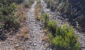 Tocht Stappen Pierrefeu-du-Var - N3 la Portaniere,  les Videaux, La Saute. - Photo 2