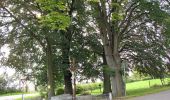 Tour Zu Fuß Theux - 28. Bronromme - Photo 9