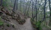 Trail Walking Theux - franchimont . s'assoir . chinru . saserotte . franchimont - Photo 13