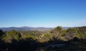 Excursión Senderismo Clermont-l'Hérault - La Ramasse - Photo 14