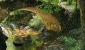 Tocht Stappen Olloix - gorges de la monne - Photo 3