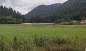 Tour Wandern Xonrupt-Longemer - Retournemer  - Photo 3