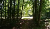 Trail Walking Sentheim - Buchberg - Rocher du Poilu  - Photo 1
