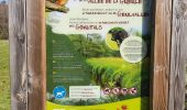 Tour Wandern Bleiberg - Vallée de la Gueule et réserve de Plombières - Photo 17