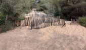 Tocht Stappen Saint-Cyr-sur-Mer - Dune de sable-St Cyr sur Mer-11-03-22 - Photo 3