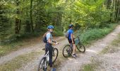 Trail Hybrid bike Grancy - La Chaux - l'Isle - retour - Photo 5