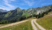 Trail Walking Bellecombe-en-Bauges - Tour de BancPlat, Dent des portes en partant du petit reposoir  - Photo 9