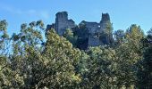 Trail Walking Vins-sur-Caramy - Vins sur Caramy-13-11-2024  - Photo 6