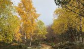 Trail Walking Pont de Montvert - Sud Mont Lozère - Masméjean / le pont du Tarn - Photo 2