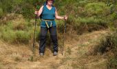 Trail Walking Mont Lozère et Goulet - Château de Tournel - Photo 18