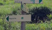 Randonnée Marche Hauteluce - COL DE LA FENETRE DEPUIS LE COL DE jOLY - Photo 7