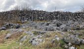 Trail Walking West Clare Municipal District - Burren - the blue and white trains - Photo 1