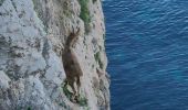 Tocht Stappen Nerja - Parking Cañada real - Peñón del Fraile- Playa Cañuelos - Photo 9