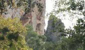 Tocht Stappen La Roquebrussanne - La Roquebrussane - Les Orris - Photo 3