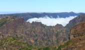 Tocht Te voet Ilha - Vereda do Areeiro (Pico Areeiro – Pico Ruivo) - Photo 10