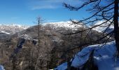 Percorso Racchette da neve Colmars - LAUPON 23.02.19 - Photo 5