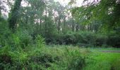 Tour Wandern Rethondes - en forêt de Laigue_4_08_2019_Mont du Fouilleux_Mont des Singes_Marais de Francière - Photo 14