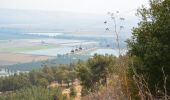 Trail On foot Kiryat Shmona - IL-2050 - Photo 6