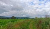 Trail Walking Comblain-au-Pont - poulseur . chanxhe . fays . monfort . poulseur - Photo 9