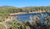 Excursión Senderismo La Londe-les-Maures - La Londe - L'argentiere vers le Pellegrin - Photo 5