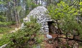 Trail Walking Saint-Saturnin-lès-Apt - APT S Saturnin d Apt  , sentier des Auguiers et des bornes o - Photo 16