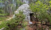 Tour Wandern Saint-Saturnin-lès-Apt - APT S Saturnin d Apt  , sentier des Auguiers et des bornes o - Photo 16