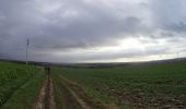 Randonnée V.T.T. Fleurus - VTT d'Heppignies à Corroy-le-château - Photo 13