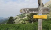 Randonnée Marche Montmaur - Col de Conode - Photo 4