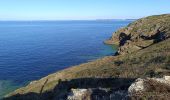 Excursión Senderismo Saint-Gildas-de-Rhuys - pointe du grand Mont - Photo 5