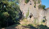 Tour Wandern Viroinval - oloy sur viroin - Photo 1