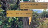 Trail Walking Saint-Martial - Saint Martial - Photo 1