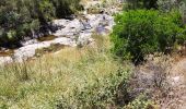 Tocht Stappen Collobrières - Cuves de Boulin - Photo 1