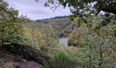 Tocht Stappen Houffalize - TOUR LAC DE NISRAMONT - Photo 9