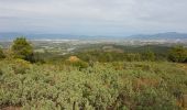 Randonnée Marche Roquebrune-sur-Argens - LES ISSAMBRES - LE VALLON DE LA GAILLARDE - Photo 3