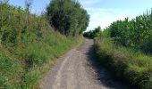 Tour Wandern Olne - Du plateau à la vallée. Olne - Photo 16