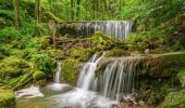 Trail On foot Balsthal - St. Wolfgang - Langenbruck - Photo 8